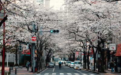 Japonia kiedy jechać? Najlepszy czas na podróż do Japonii